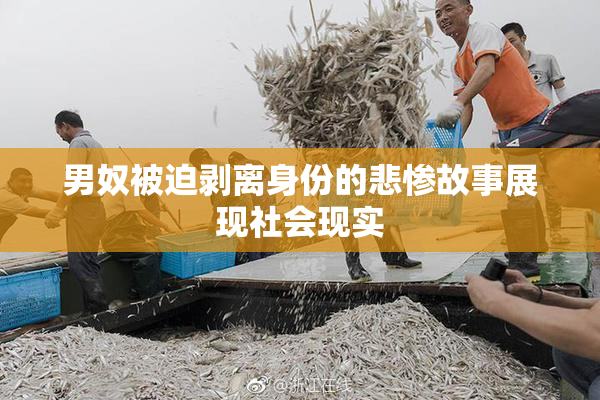 男奴被迫剥离身份的悲惨故事展现社会现实
