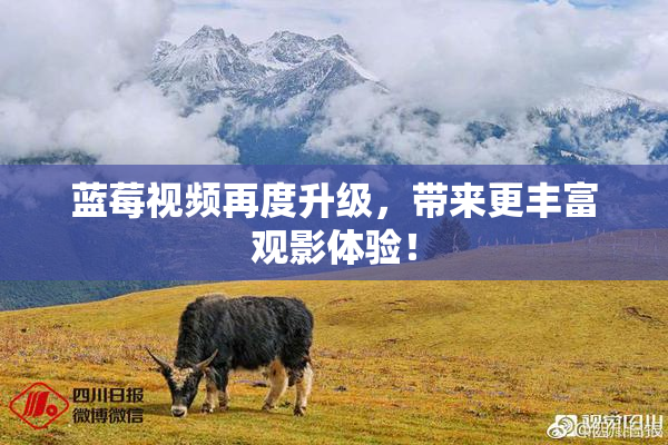 蓝莓视频再度升级，带来更丰富观影体验！