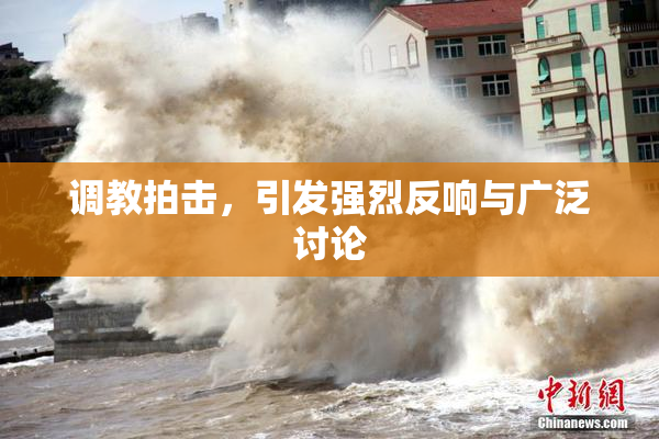 调教拍击，引发强烈反响与广泛讨论