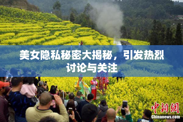 美女隐私秘密大揭秘，引发热烈讨论与关注