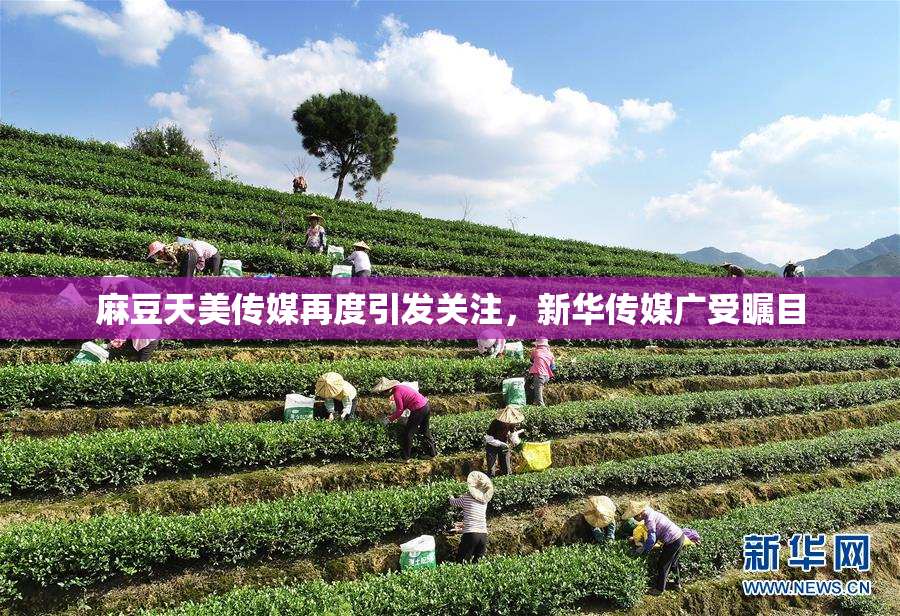 麻豆天美传媒再度引发关注，新华传媒广受瞩目