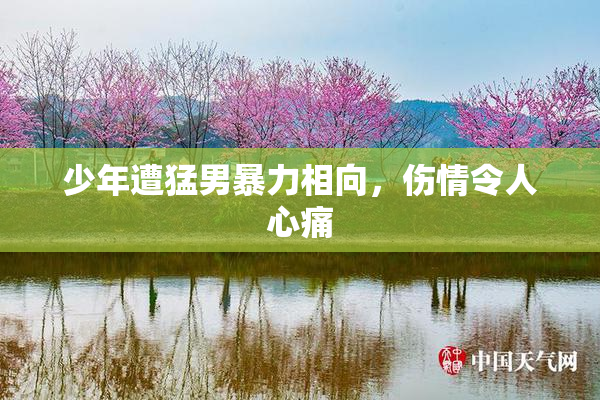 少年遭猛男暴力相向，伤情令人心痛