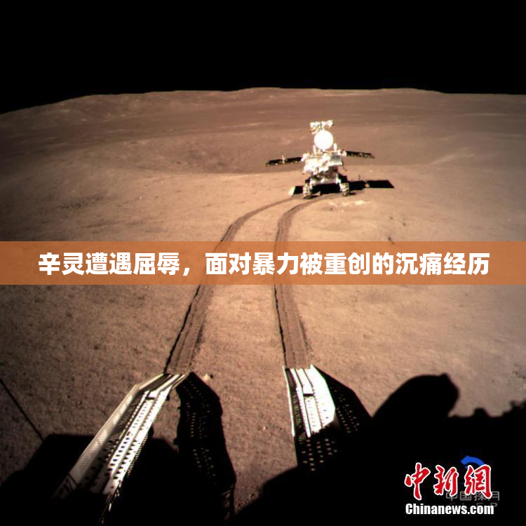 辛灵遭遇屈辱，面对暴力被重创的沉痛经历