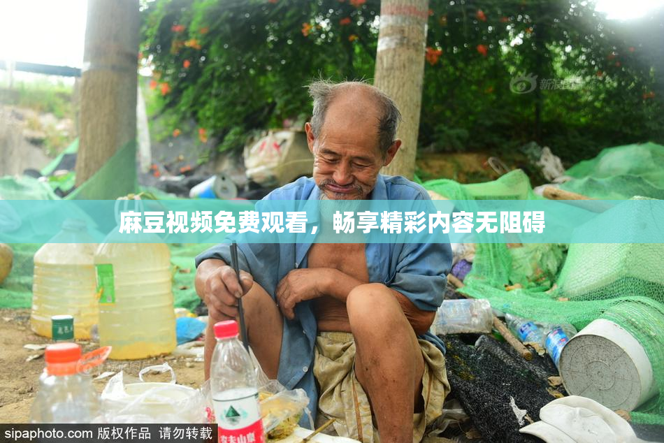 麻豆视频免费观看，畅享精彩内容无阻碍