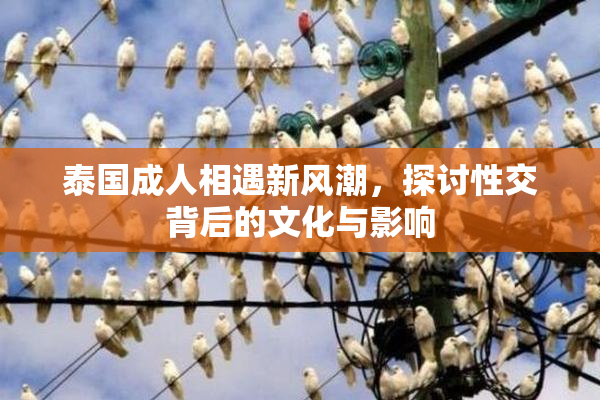 泰国成人相遇新风潮，探讨性交背后的文化与影响