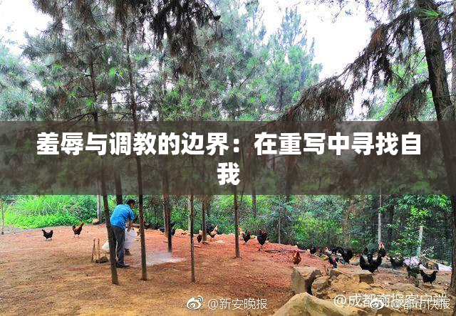 羞辱与调教的边界：在重写中寻找自我