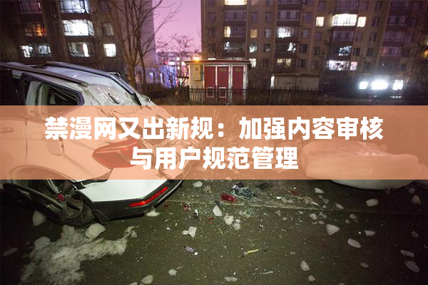 禁漫网又出新规：加强内容审核与用户规范管理