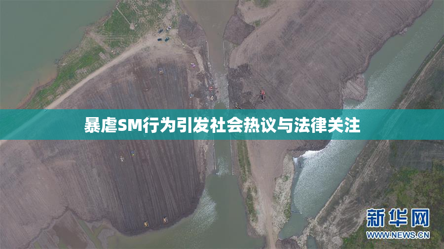 暴虐SM行为引发社会热议与法律关注