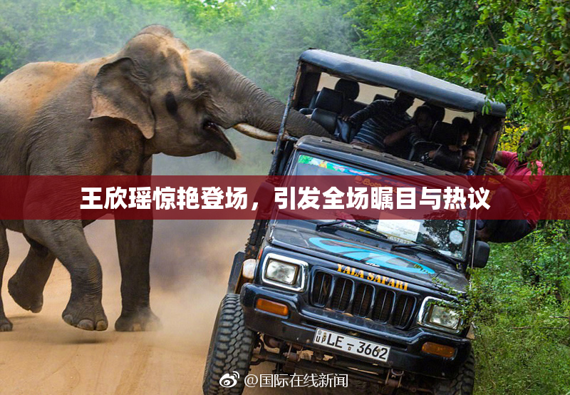 王欣瑶惊艳登场，引发全场瞩目与热议