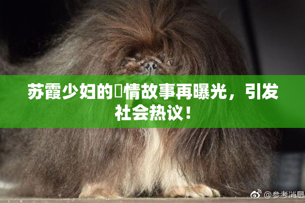 苏霞少妇的婬情故事再曝光，引发社会热议！