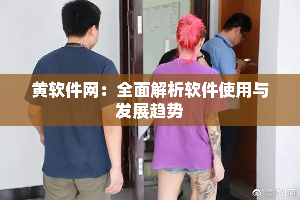 黄软件网：全面解析软件使用与发展趋势