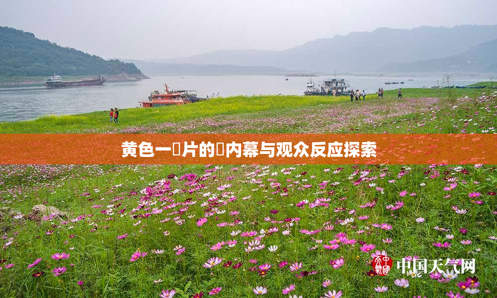 黄色一級片的黃内幕与观众反应探索