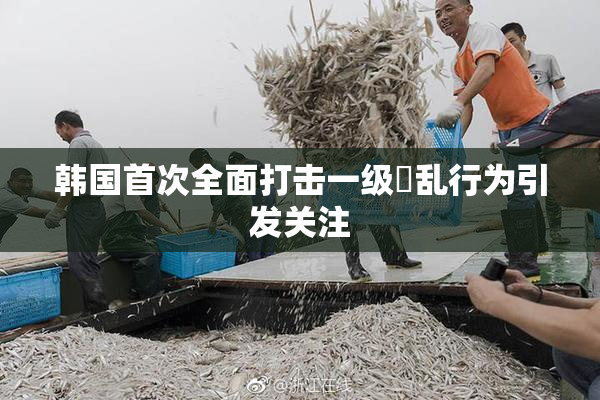 韩国首次全面打击一级婬乱行为引发关注
