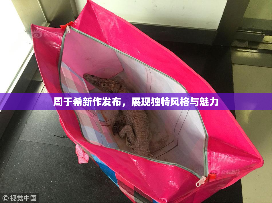 周于希新作发布，展现独特风格与魅力