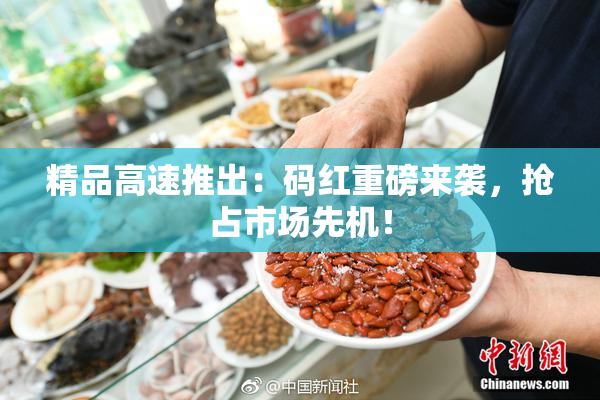 精品高速推出：码红重磅来袭，抢占市场先机！
