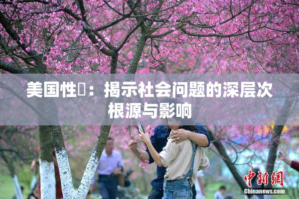 美国性婬：揭示社会问题的深层次根源与影响