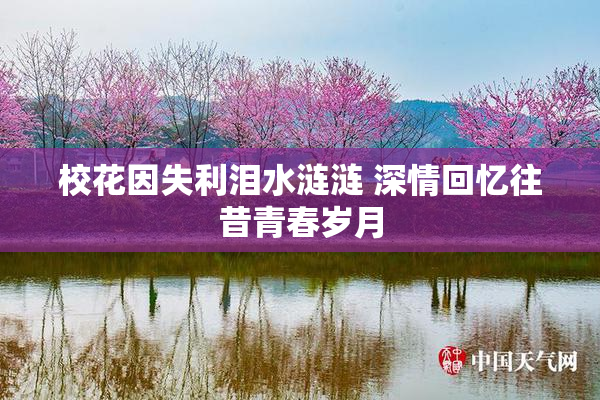 校花因失利泪水涟涟 深情回忆往昔青春岁月