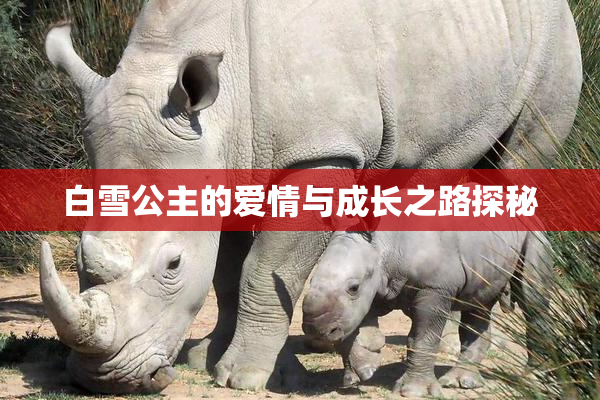 白雪公主的爱情与成长之路探秘