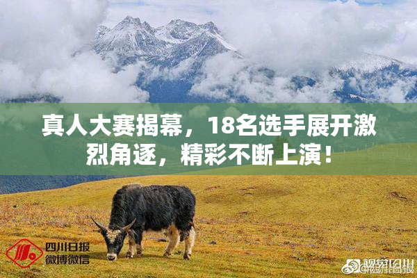 真人大赛揭幕，18名选手展开激烈角逐，精彩不断上演！