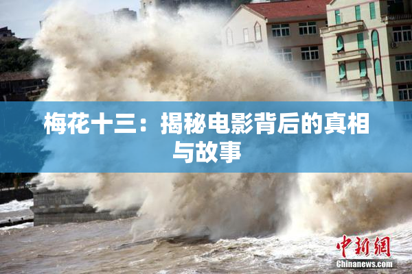 梅花十三：揭秘电影背后的真相与故事