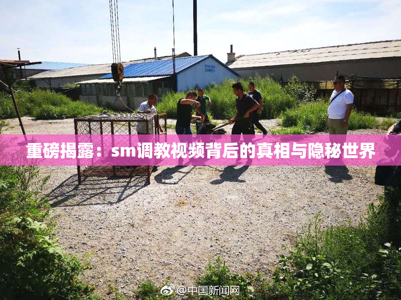 重磅揭露：sm调教视频背后的真相与隐秘世界