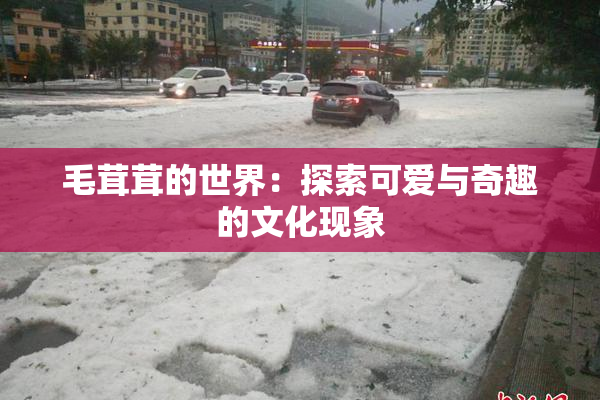 毛茸茸的世界：探索可爱与奇趣的文化现象