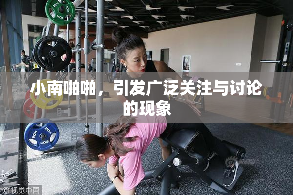 小南啪啪，引发广泛关注与讨论的现象