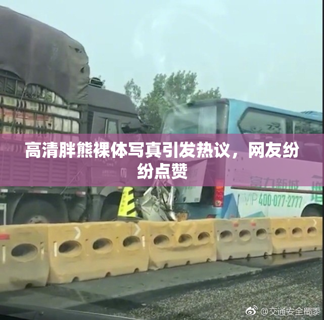 高清胖熊裸体写真引发热议，网友纷纷点赞