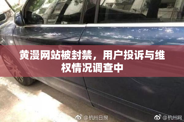 黄漫网站被封禁，用户投诉与维权情况调查中