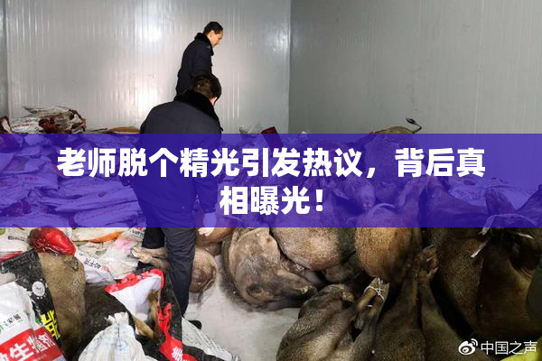 老师脱个精光引发热议，背后真相曝光！