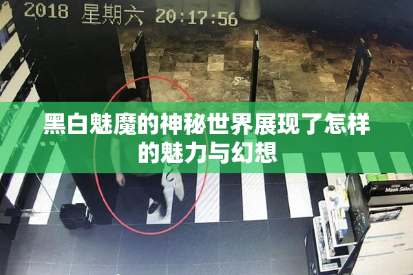 黑白魅魔的神秘世界展现了怎样的魅力与幻想
