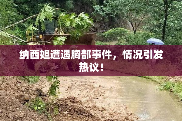 纳西妲遭遇胸部事件，情况引发热议！