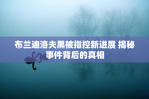 布兰迪洛夫黑被指控新进展 揭秘事件背后的真相
