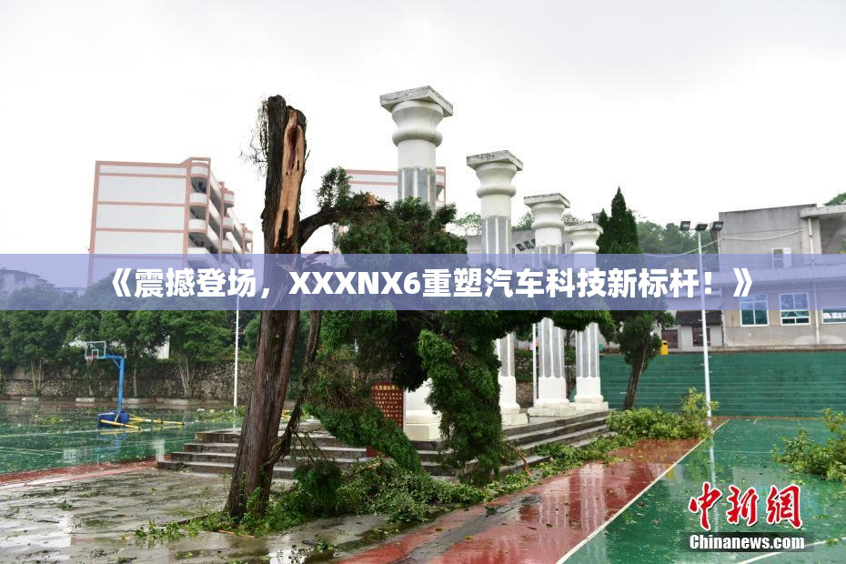 《震撼登场，XXXNX6重塑汽车科技新标杆！》