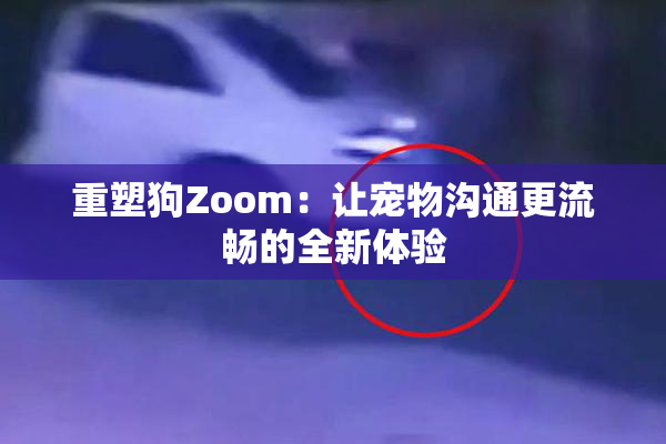 重塑狗Zoom：让宠物沟通更流畅的全新体验
