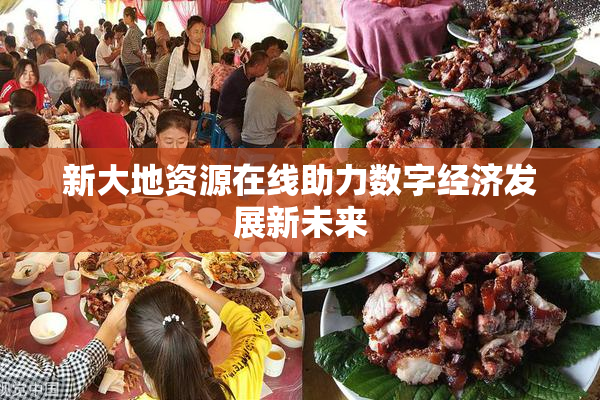 新大地资源在线助力数字经济发展新未来