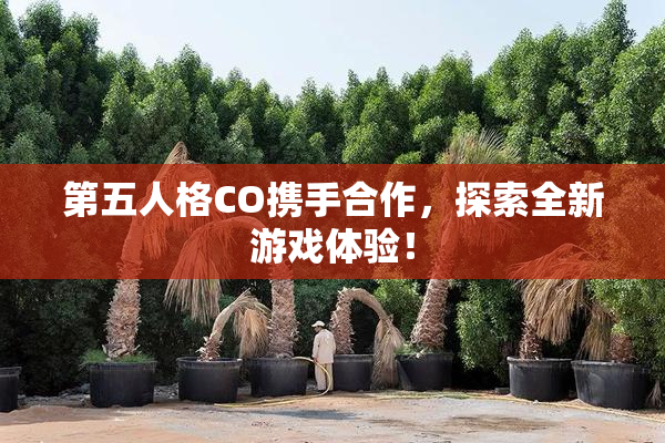 第五人格CO携手合作，探索全新游戏体验！