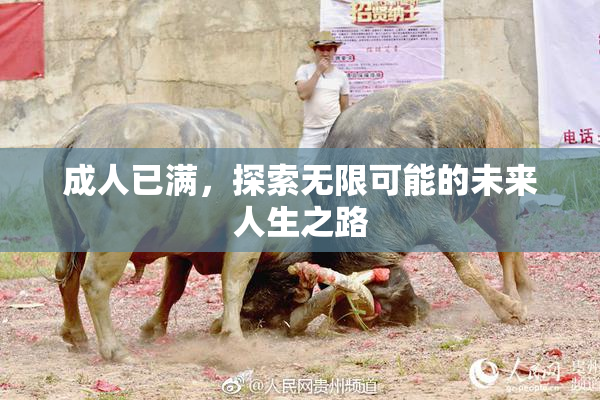成人已满，探索无限可能的未来人生之路