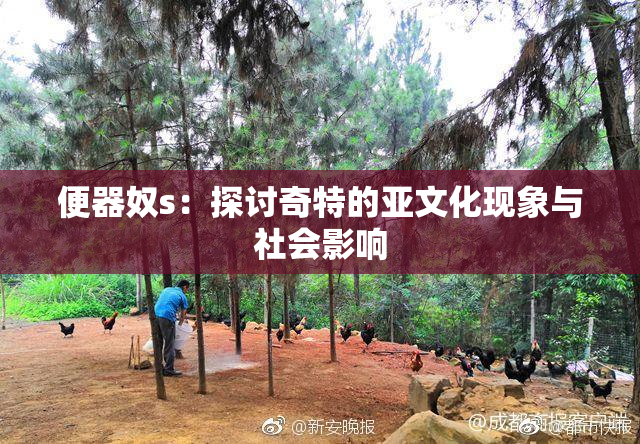 便器奴s：探讨奇特的亚文化现象与社会影响