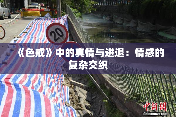 《色戒》中的真情与进退：情感的复杂交织