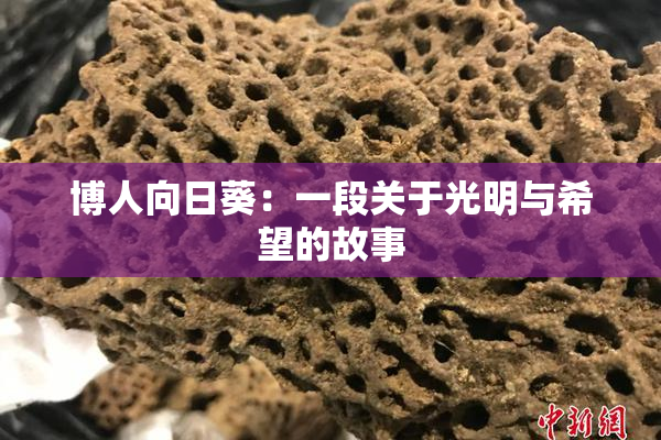 博人向日葵：一段关于光明与希望的故事