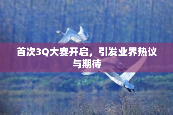 首次3Q大赛开启，引发业界热议与期待