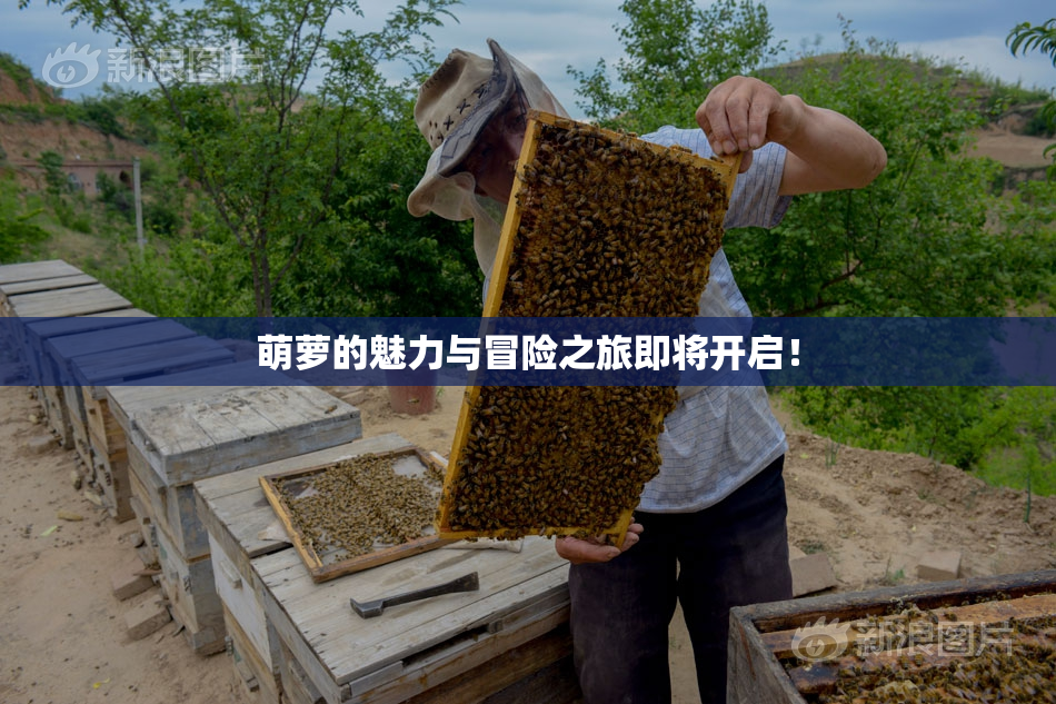 萌萝的魅力与冒险之旅即将开启！