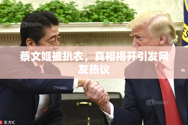 蔡文姬被扒衣，真相揭开引发网友热议