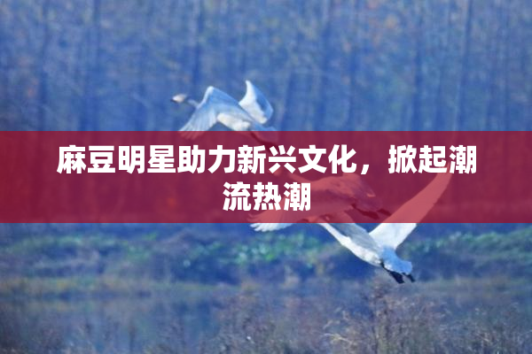 麻豆明星助力新兴文化，掀起潮流热潮