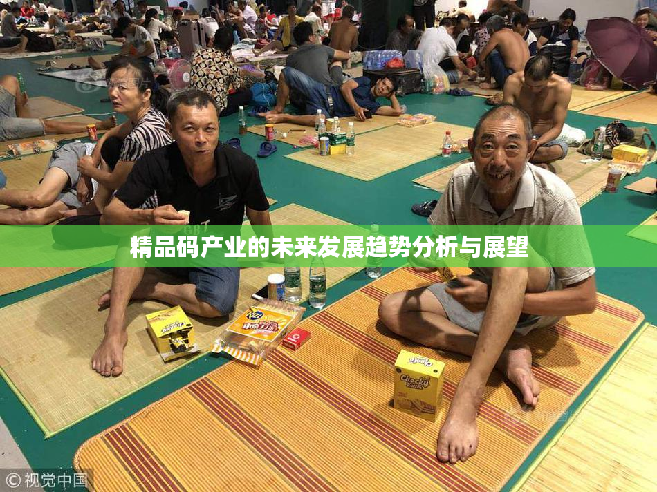 精品码产业的未来发展趋势分析与展望