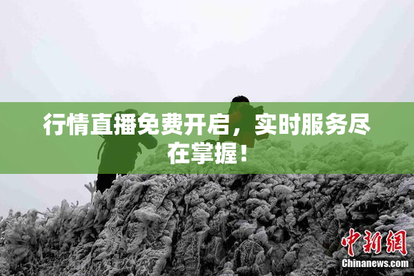 行情直播免费开启，实时服务尽在掌握！