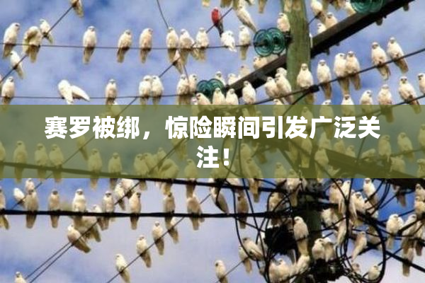 赛罗被绑，惊险瞬间引发广泛关注！