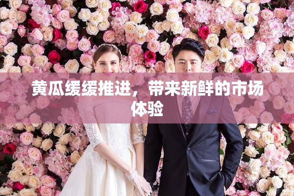 黄瓜缓缓推进，带来新鲜的市场体验
