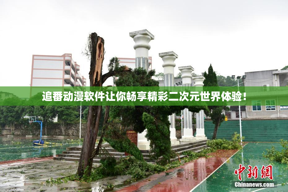 追番动漫软件让你畅享精彩二次元世界体验！